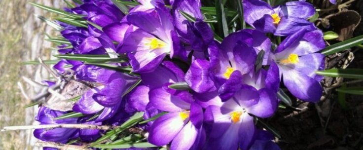 IMAG4835-1.jpg image