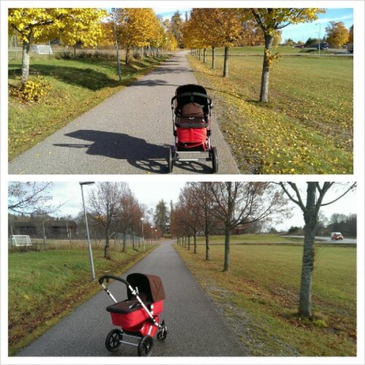 PhotoGrid_1383304210627.jpg image