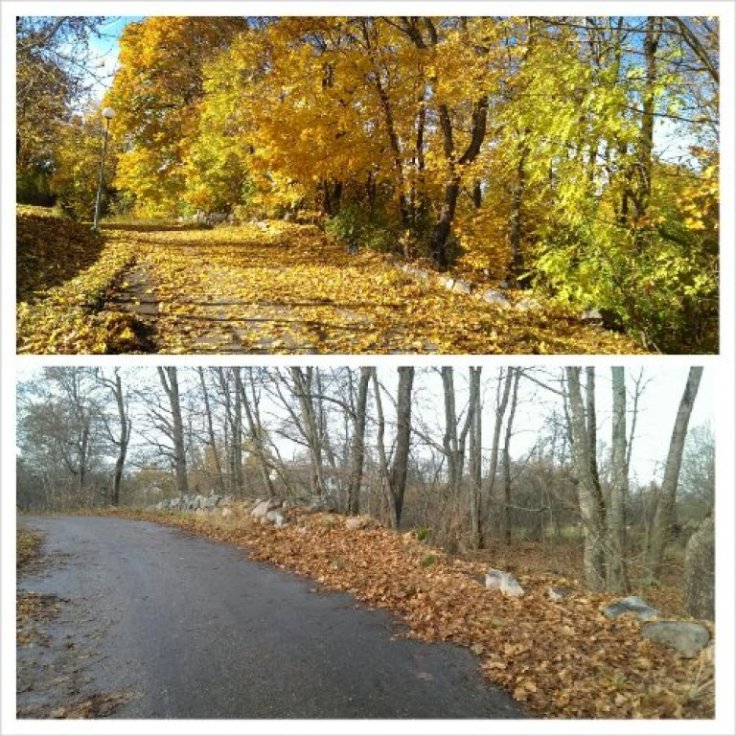 PhotoGrid_1383304309515.jpg image