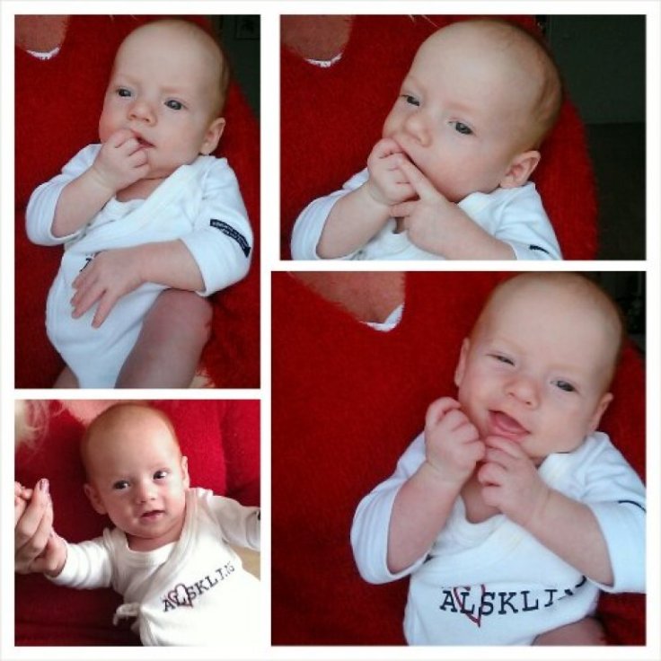 PhotoGrid_1386698122786.jpg image