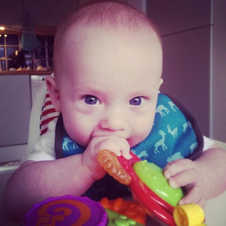 IMG_20140205_130709.jpg image