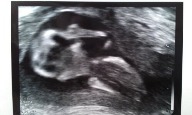 IMAG4559_1.jpg image