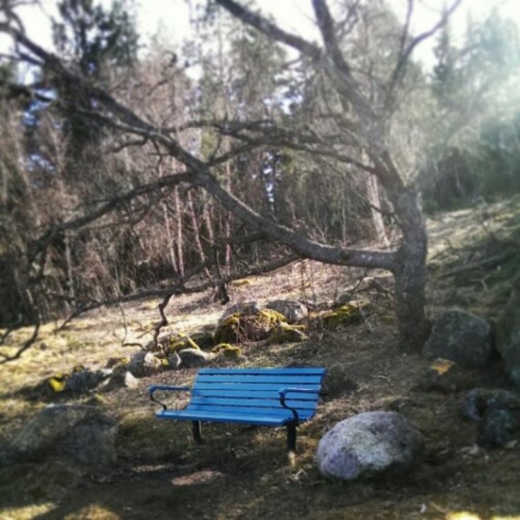 IMG_20140402_172552.jpg image