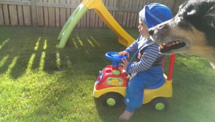 wp-1405285785553 image