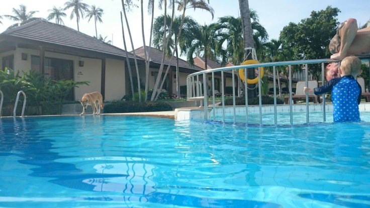 wp-1417340539875 image