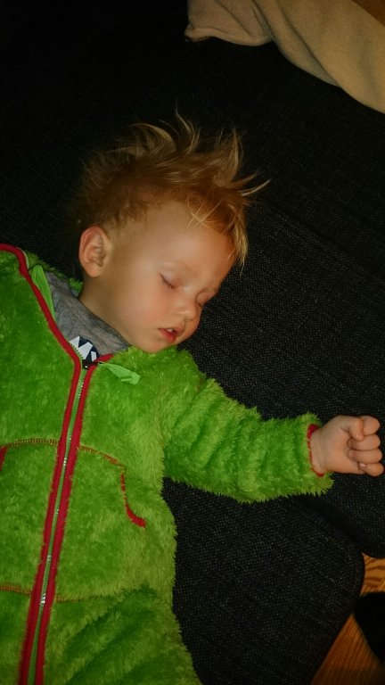 DSC_0065_1.JPG image