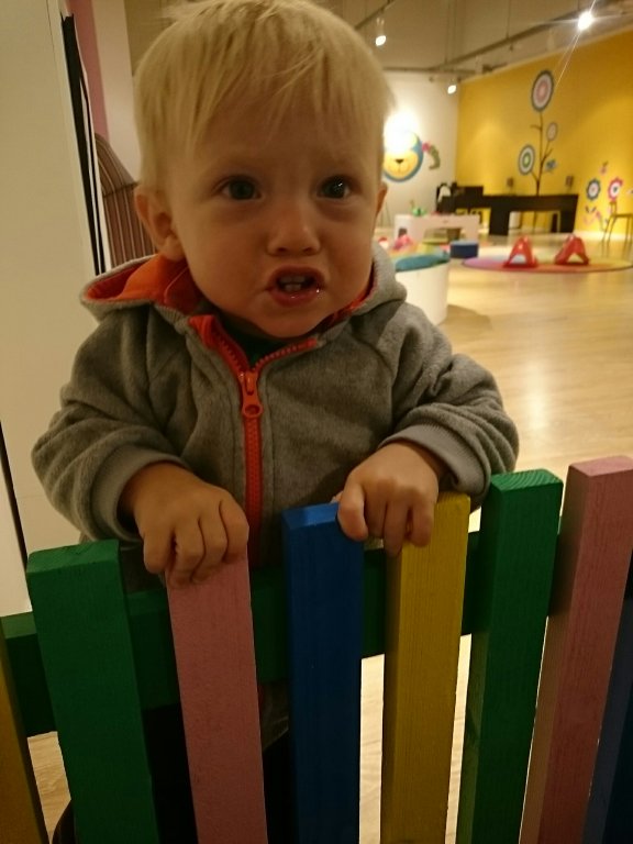 IMG_20150113_123902.jpg image