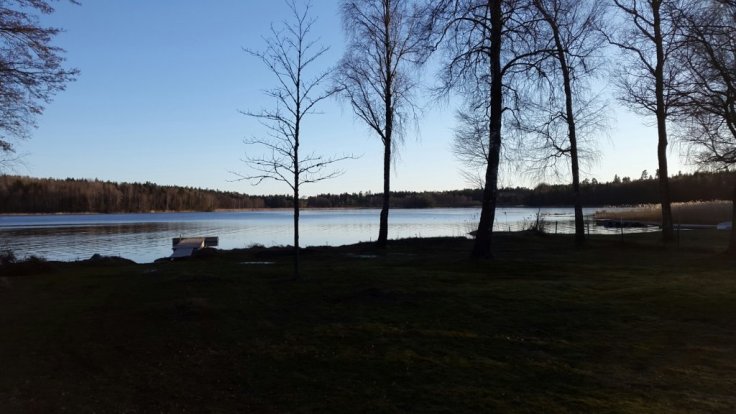 20150311_162951.jpg image