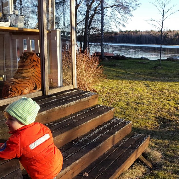 IMG_20150311_173811.jpg image