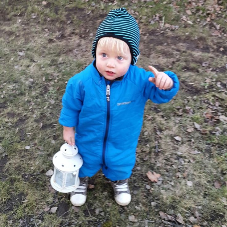 IMG_20150312_190926.jpg image