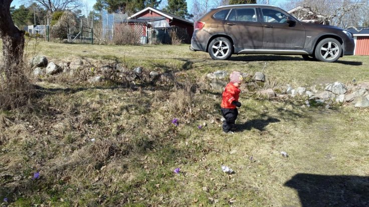 20150409_143404.jpg image