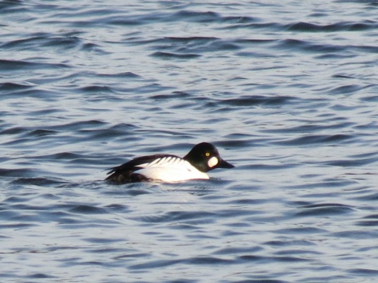 20150410183127.JPG image