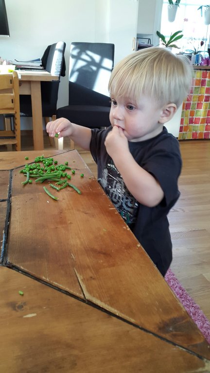 20150410_171908.jpg image