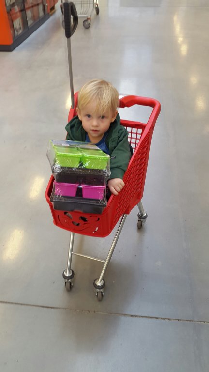 20150419_180137.jpg image