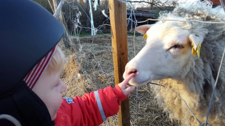 20150419_191110.jpg image