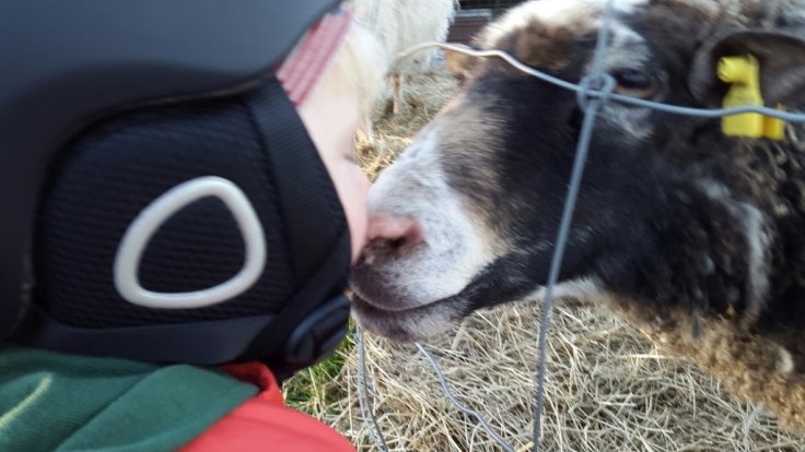 20150419_191308.jpg image