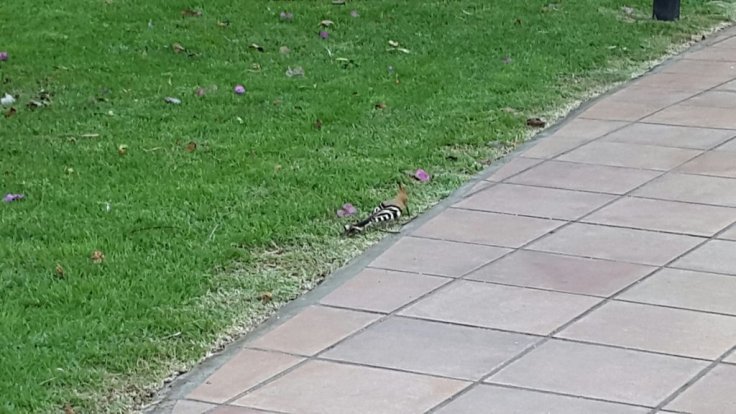 20150422_193924.jpg image