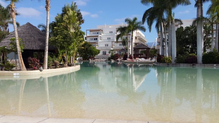 20150423_094835.jpg image