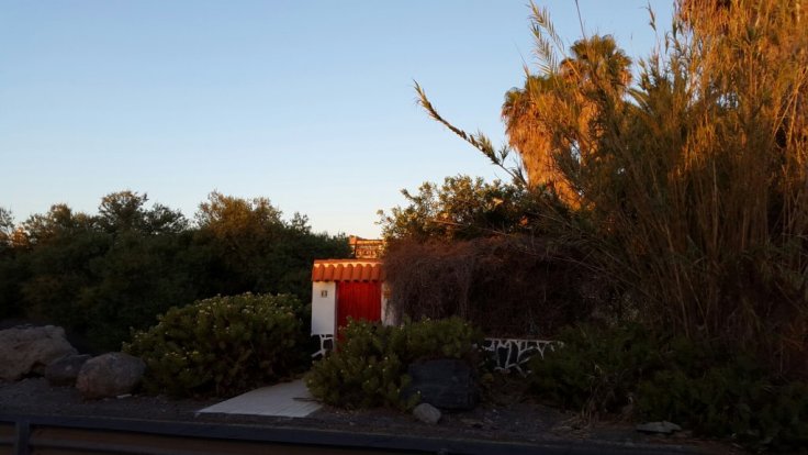 20150425_074013.jpg image