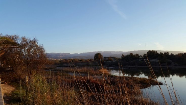 20150425_074803.jpg image