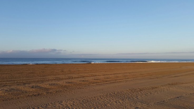 20150425_075310.jpg image