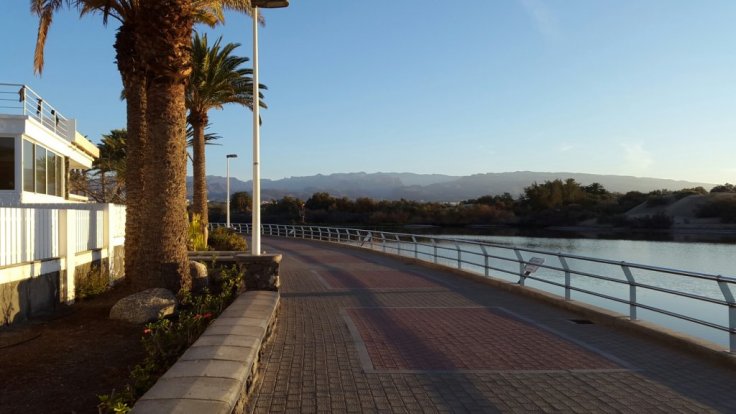 20150425_075700.jpg image