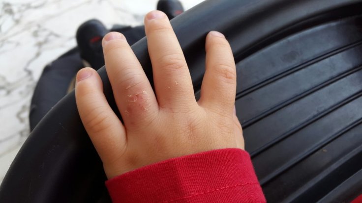 20150429_111051.jpg image