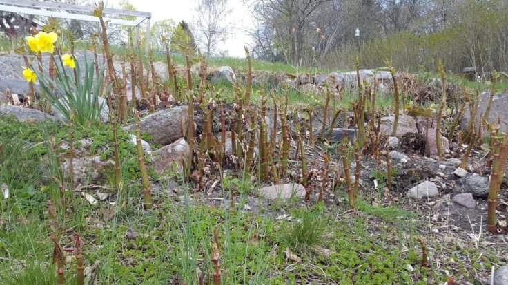 20150430_121857.jpg image