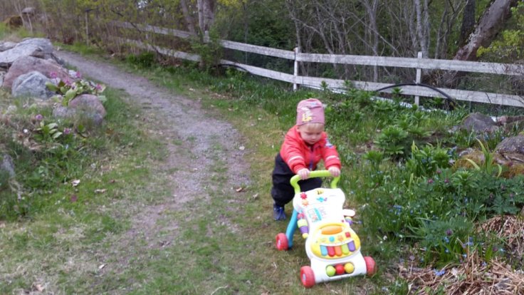 20150501_182127.jpg image