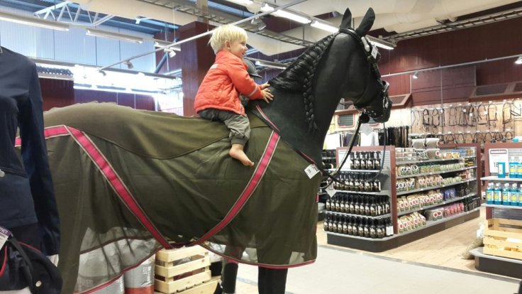 20150510_155701.jpg image