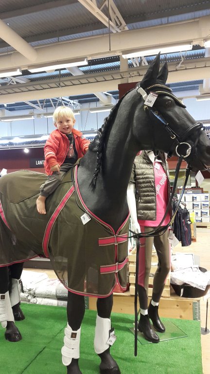 20150510_155710.jpg image