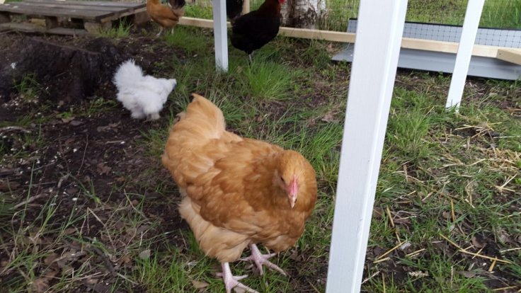 20150510_165723.jpg image