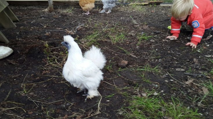 20150510_165801.jpg image