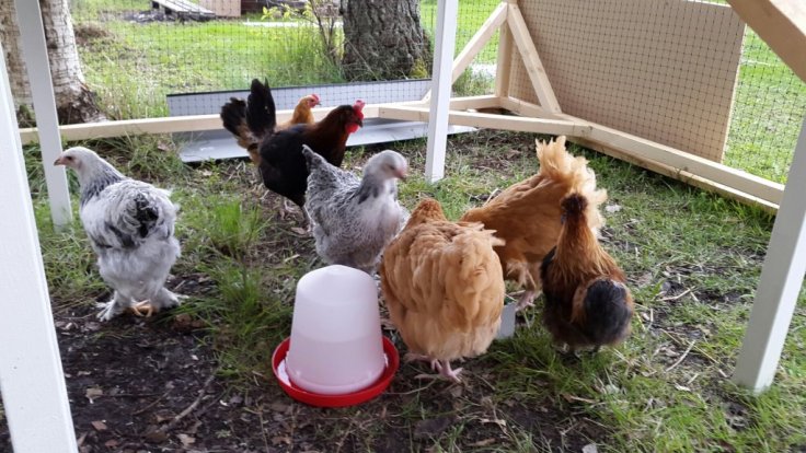 20150510_171533.jpg image