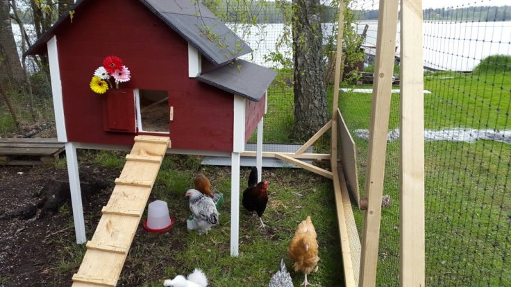 20150510_172226.jpg image