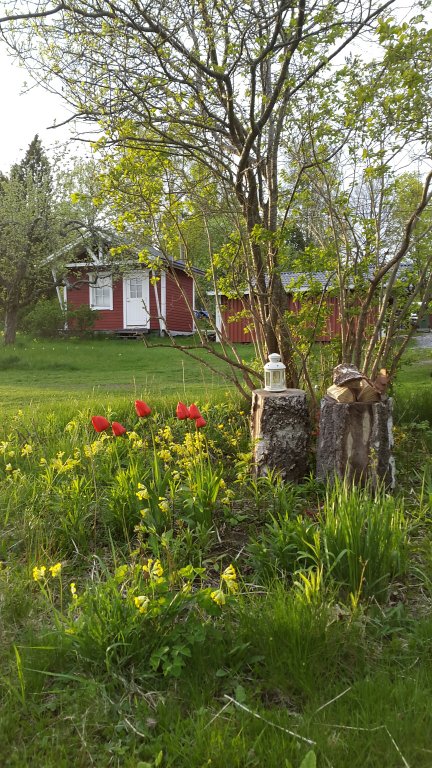 20150511_194908.jpg image