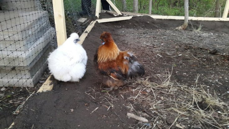 20150511_204014.jpg image