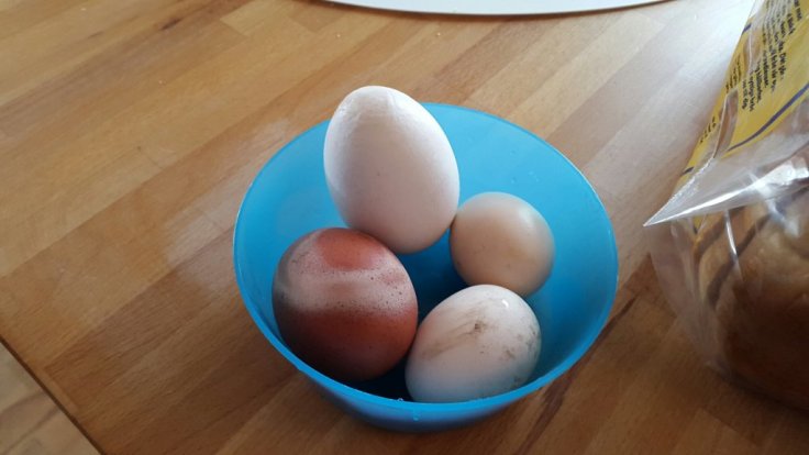 20150514_090240.jpg image