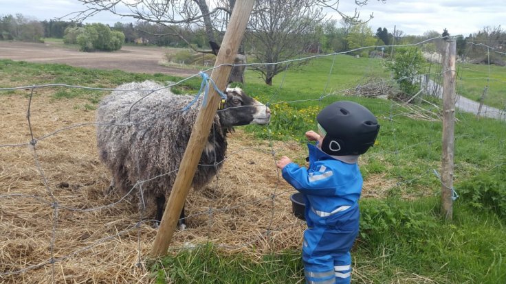 20150514_123014.jpg image