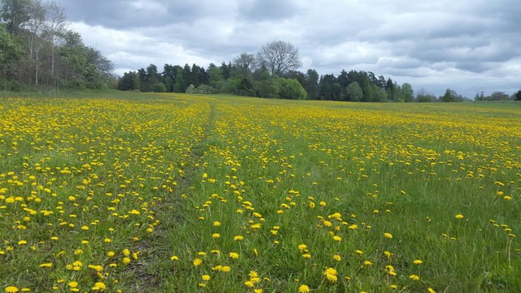 20150514_124405.jpg image