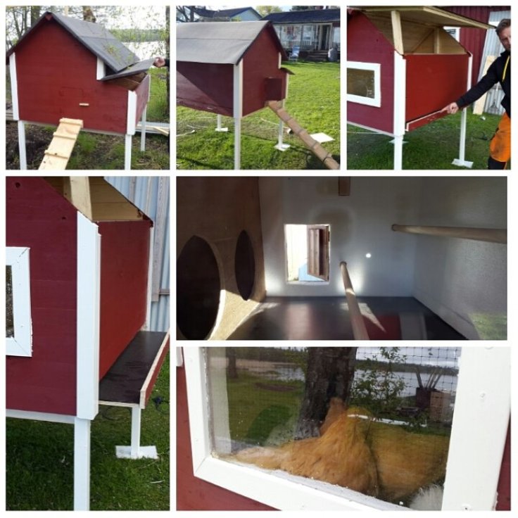 IMG_20150510_152730.jpg image