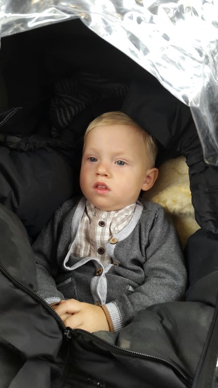 20150606_111817.jpg image