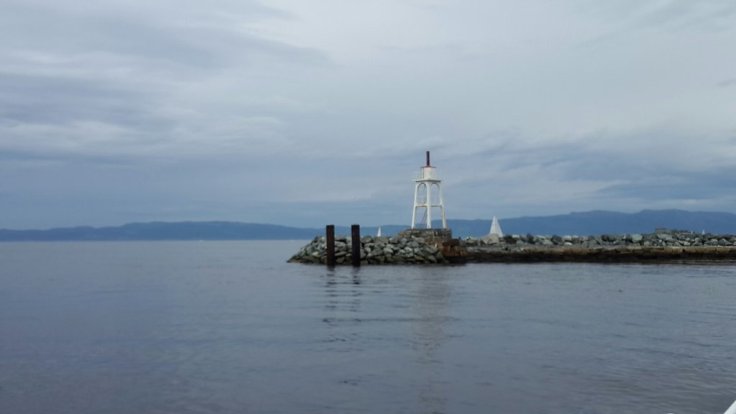 20150606_130404.jpg image