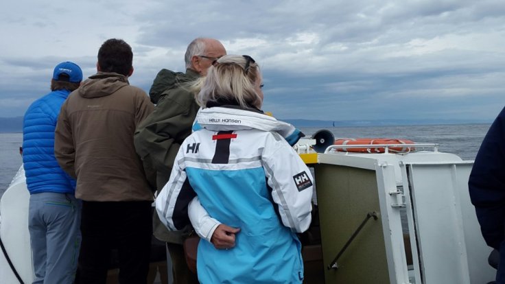 20150606_130648.jpg image