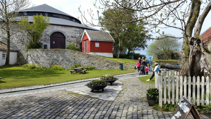 20150606_140524.jpg image