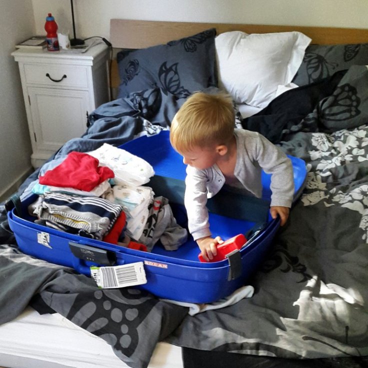 IMG_20150605_101032.jpg image