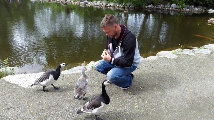 20150707_153412.jpg image