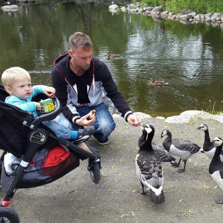 IMG_20150707_205444.jpg image