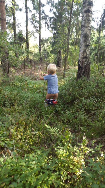 20150825_165227.jpg image