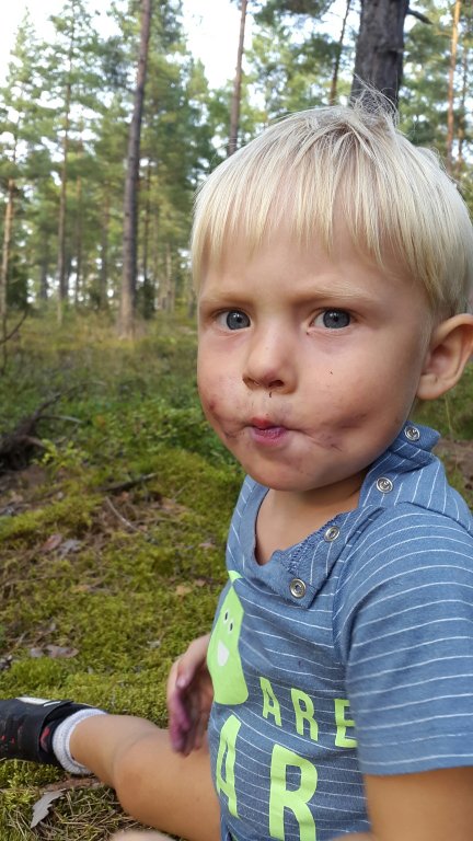 20150825_172458.jpg image